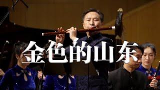 金色的山東  笛子協奏曲  著名笛子演奏家 郝益軍震撼演繹