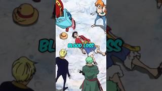 Two Strawhats Have Someone Else’s Blood inside them?