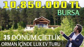 Ormanın içinde 10.850.000 TL'lik Lüks Çiftlik Ev Turu I 35.000m2 ,2 Yarış Atı ,Loft Salon