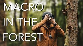 Macro in the Forest: Top Tips for Lighting and Focus Stacking Your Best Photos