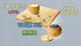 [생]타이젬바둑 5단 뽀개기
