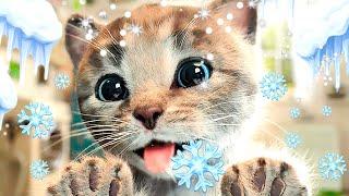 MY LOVELY LITTLE KITTEN ADVENTURE | BEST PETS EDUCATIONAL VIDEO FOR CHILDREN | Cat Story First Snow