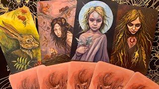 Новинка от Llewellyn 2024️Распаковка и обзор колоды “Witch Sister Tarot” , ️от Julia Jeffrey.