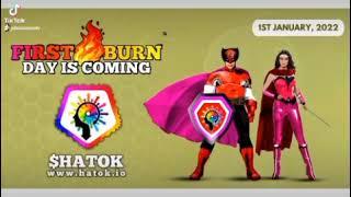 $hatoken burning #donsimontv #comedy #crypto #donsimoncryptos