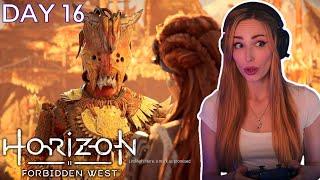 A Warrior's Wrath | Horizon Forbidden West | First Playthrough [Day 16]