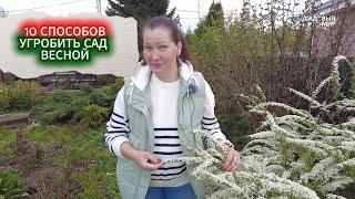 БЕСПОЛЕЗНЫЕ И ВРЕДНЫЕ  РАБОТЫ В САДУ В МАЕ-ИЮНЕ - УЧИМСЯ НА ЧУЖИХ ОШИБКАХ КАК НЕ ОСТАТЬСЯ БЕЗ УРОЖАЯ
