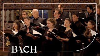 Bach - Motet Fürchte dich nicht, ich bin bei dir BWV 228 - MacLeod | Netherlands Bach Society