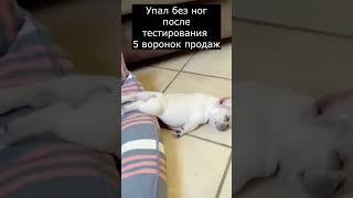Упал без ног после тестирования  воронок продаж #shortsyoutube #shortsvideo