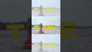 TIDE - Hamburgs Bürger:innensender + Ausbildungskanal