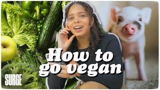 HOW TO GO VEGAN (in 5 simple steps).