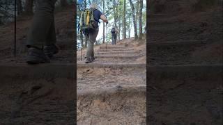 Taktshang Hike | Start your journey in the early morning | #jamesdaily #taktshang