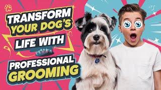 Transform Your Dog's Life With Professional Grooming