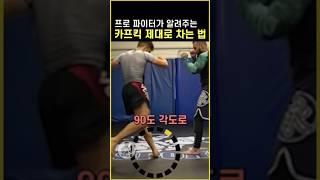 프로 파이터가 알려주는 카프킥 제대로 차는 법