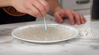 Pepper and Water Science Trick! Surface Tension Mini Segment (Ep 103)