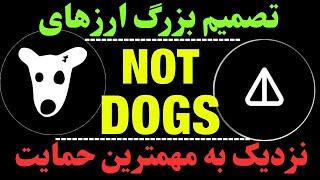 تحلیل ارز داگز و نات کوین | DOGS نزدیک مهمترین حمایت | NOT و مهمترین تصمیم