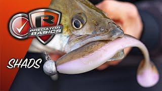 PREDATOR BASICS #2 | How fish with shads to catch perch and pike | Lure fishing for beginners