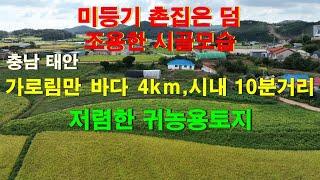 [매물1323]가로림만 바다가 4km,태안시내는 차로 10분 거리에 있는 미등기주택과 저렴한 토지,조용하고 초등학교가 바로 옆에 있는 아늑한 곳[태안사랑 넘버원 현대공인중개사사무소