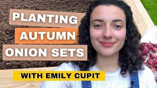 Planting Autumn Onion Sets With Emily Cupit