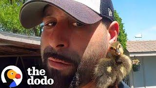 Guy Who Rescued A Duckling From His Pool Still Gets Visits From Him | The Dodo