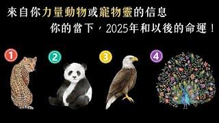 塔羅占卜：來自你力量動物/寵物靈的信息，你的當下，2025年和以後的命運！（🈚 時間限制）