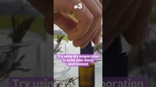 How to Use Essential Oils | 5 Aromatherapy Tips