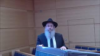 Welche Sohn bist du?  Kurze Gedanken zu Sederabend  - Rabbiner Shneur Trebnik