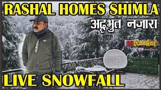 Rashal Homes Shoghi Shimla, Best Hotel Home Stay In Near Shimla, Heavy Snowfall in Shimla