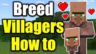 How to Breed Villagers in Minecraft (Easy Guide!)