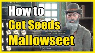 How to Get Mallowsweet Seed and grow plant in Hogwarts legacy (Fast Tutorial)