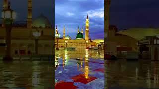 #viralvideo #8millionviews #viralshorts #shorts#ytshorts #youtubeshorts #islamicstatus #reels