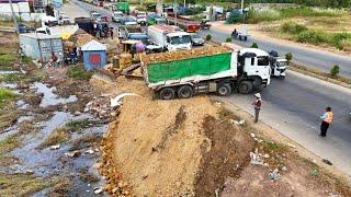 Huge Size Project! Processing 70% Fill Land By Dump Truck 25Ton & Bulldozer D53P Push Soil, Mix VDO