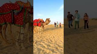 Bolne Wale camel  || Akshay Nagwadiya || #shorts #akshaynagwadiya #desert