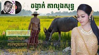 Sin Sisamuth Song | Sinn Sisamuth | Khmer Oldie Song | Sin Sisamuth Compilation Vol 01