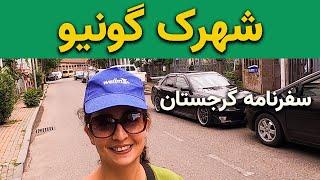 شهرک گونیو در نزدیکی شهر باتومی - سفرنامه گرجستان