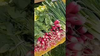 The best season! #farmersmarket #farmersmarketfinds #mediterraneandiet #springtime #seasonal #spring