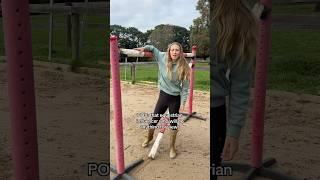 POV: that equestrian influencer who will do anything for views #equestrian #horse #horserider