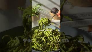 If you’re anemic, eat this. The Best Spinach Pesto Pasta! #easyrecipe #healthy #vegan #pasta