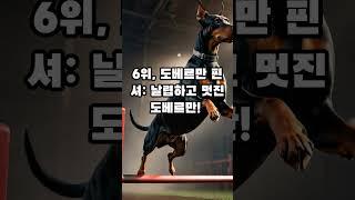 훈련이 쉬운강아지 TOP10 #shorts #강아지 #동물 #반려견