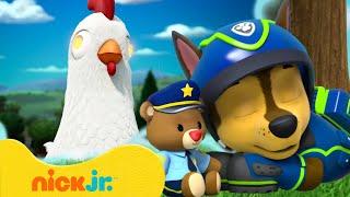 PAW Patrol Pups Have Weird Dreams! #4 w/ Chickaletta | 10 Minutes | Nick Jr.