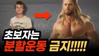 똑같은 근육을 매일 운동하면 안될까? 초보자는 무분할로 매일 해야 합니다