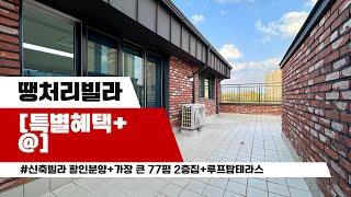 일산 파주 가장 큰 77평 2층 집+루프탑 테라스 풍동 삼성캐슬 분양사무실 031.919.0224