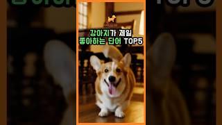 강아지가 제일 좋아하는 단어 TOP5