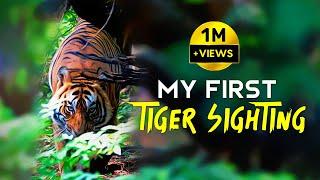 T86 Ranthambore National Park | Tiger Safari - 4K Video Hindi | हिन्दी