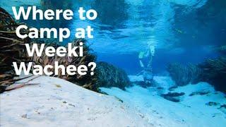 WHERE TO CAMP AT WEEKI WACHEE SPRINGS | Weeki Wachee River | Mary's Fish Camp