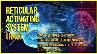 LATIHAN VISUALISASI TERNYATA MEMILIKI PENGARUH PADA OTAK MANUSIA | MEL ROBINS