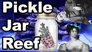 Aquarium HISTORY inspired NANO MARINE AQUARIUM | Fish Tank History!