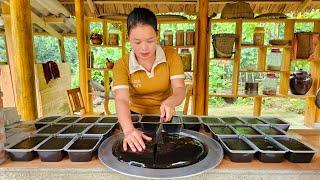 Full VIDEO: 250 days of making Black Jelly, Sticky Rice Cake, Harvesting Tangerines Market To Sell.