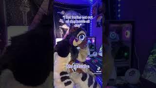 Daily routine: Furry Edition #fursuit #furries #cosplay #costume #dayinthelife