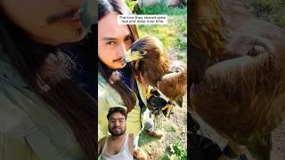 raised the small bird to an eagle #littlebirds #birds #eagle  #rescue #animals #wildlife #pets