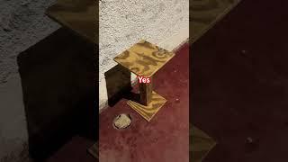 @Dadriantoolsreviews #trending #construction #viralvideo #work #diy #shorts #subscribe #pov